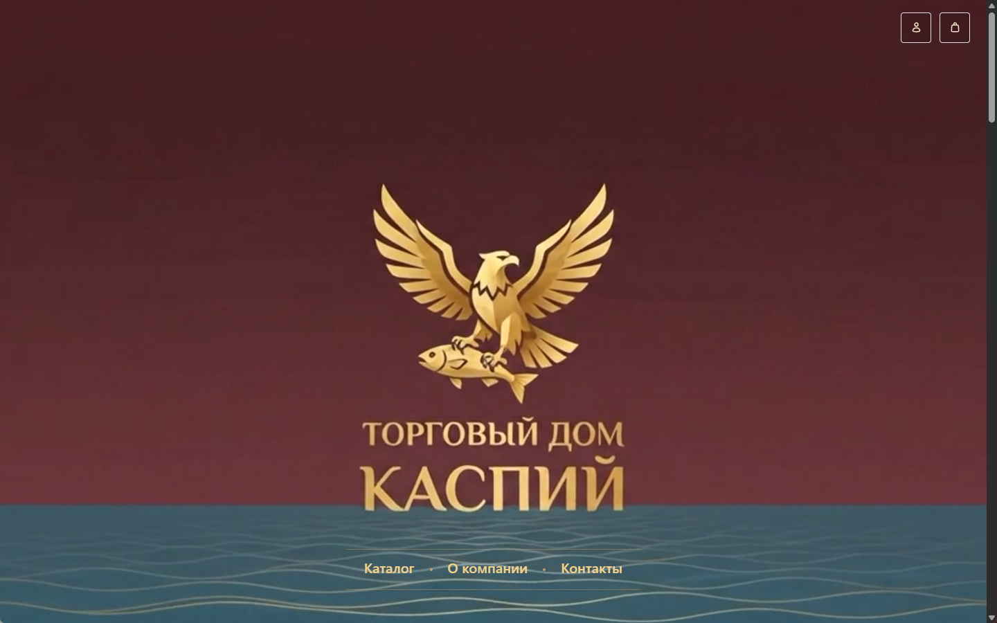 Главная страница интернет-магазина Торгового дома Каспий
